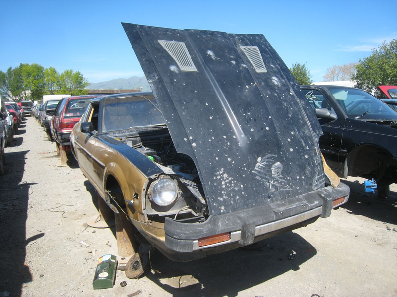 Illustration for article titled Striking Black Gold In The Junkyard